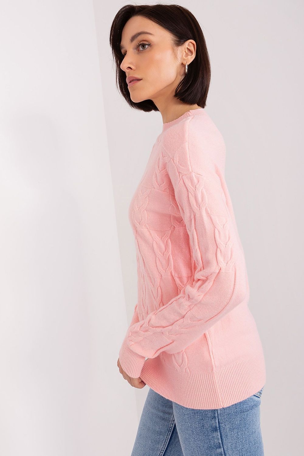 Jumper model 208299 AT